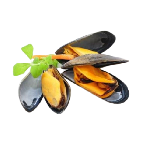 ảnh ảnh