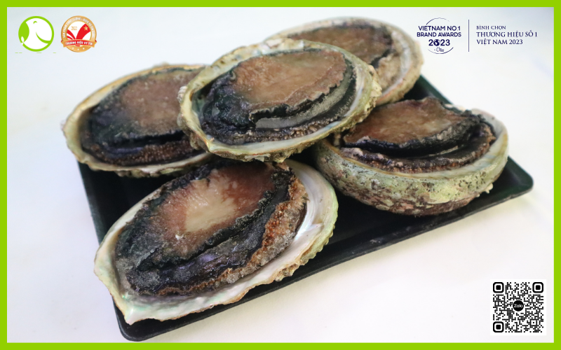 Bào Ngư Úc Viền Đen