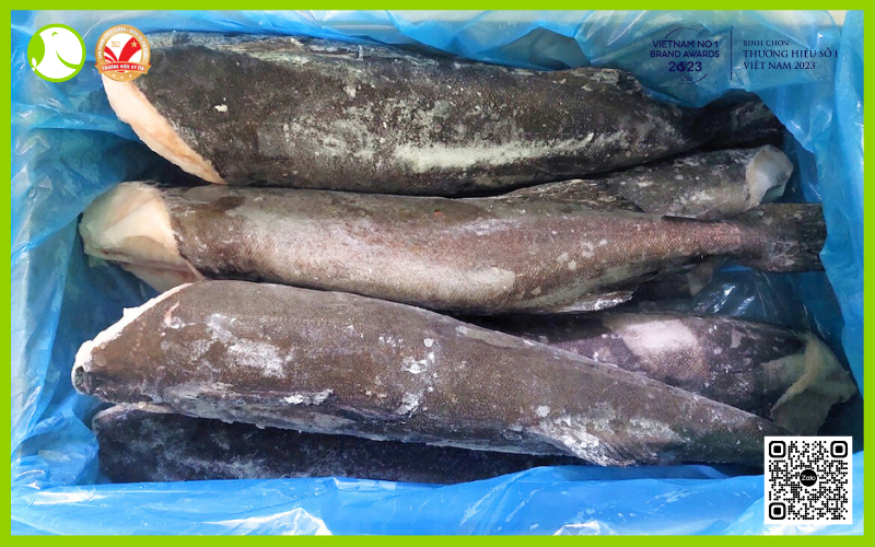 Cá tuyết Mỹ nguyên con đông lạnh tại new fresh Cá tuyết Mỹ nguyên con đông lạnh tại new fresh