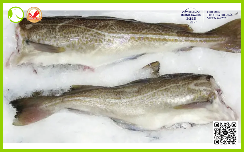 Cá tuyết Nauy nguyên con đông lạnh Cá tuyết Nauy nguyên con đông lạnh