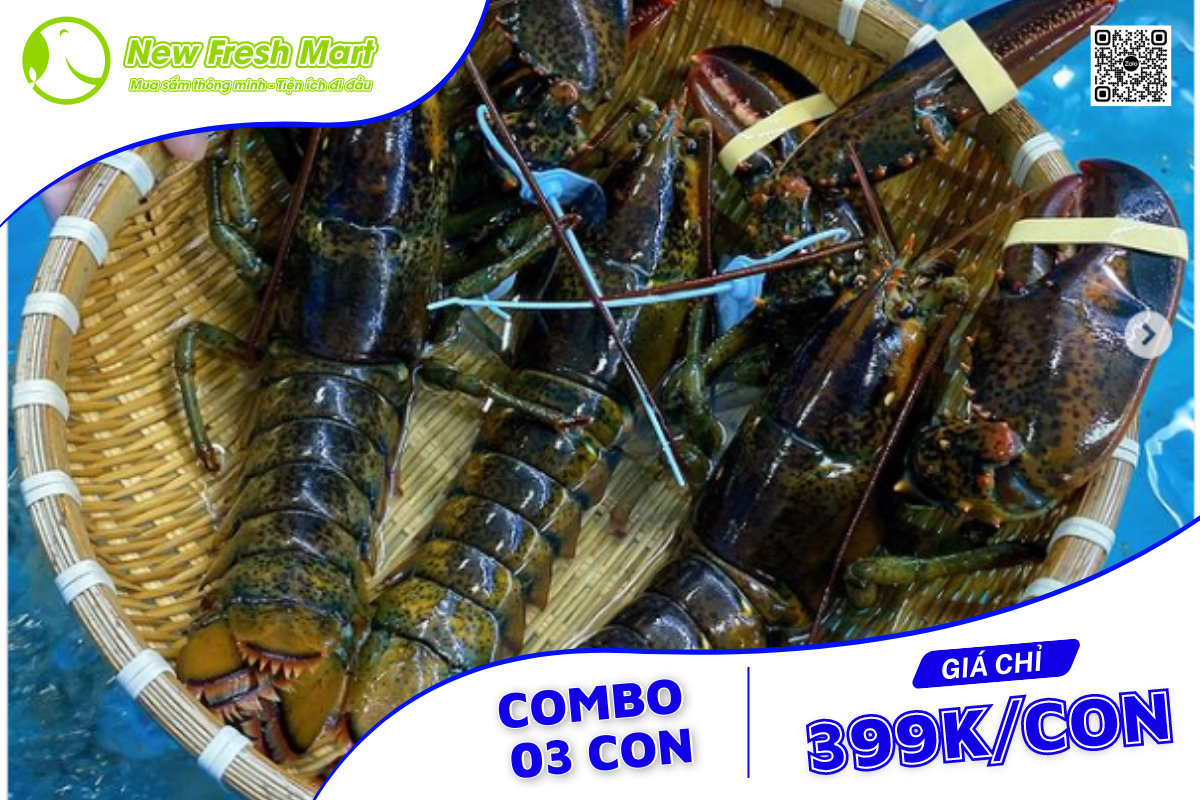 Combo 03 con giá chỉ 399k/con Combo 03 con giá chỉ 399k/con