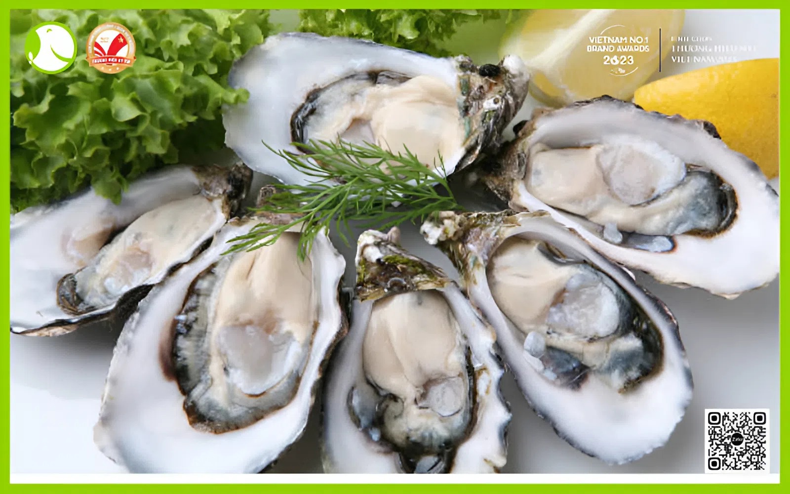 Hàu đông lạnh Hàu đông lạnh