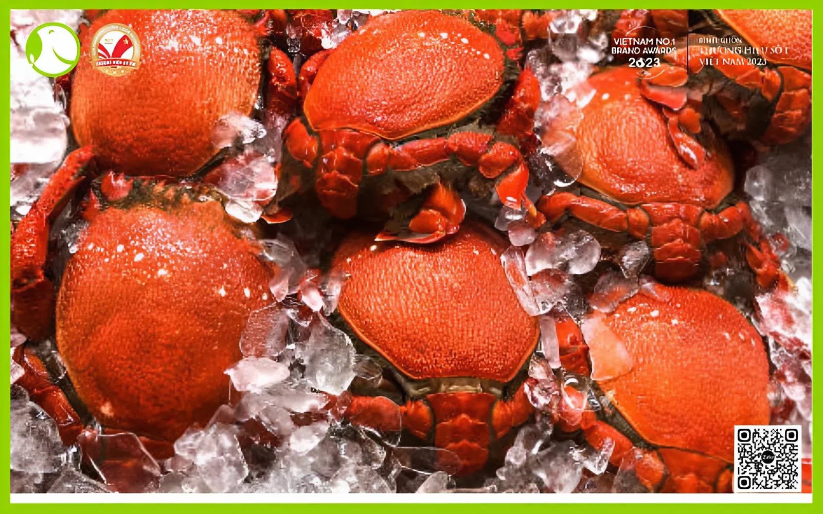 cua huỳnh đế New Fresh cua huỳnh đế New Fresh