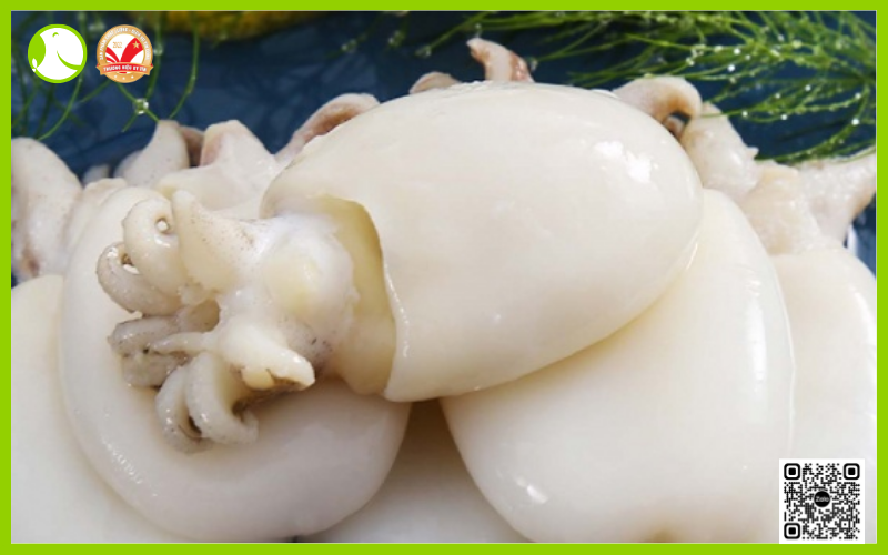 Con mực nang Con mực nang