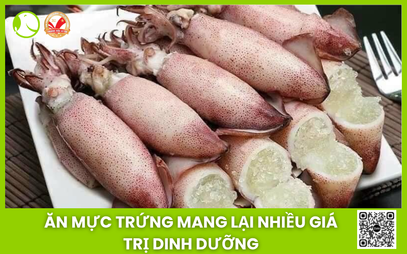 giá trị dinh dưỡng mực trứng giá trị dinh dưỡng mực trứng