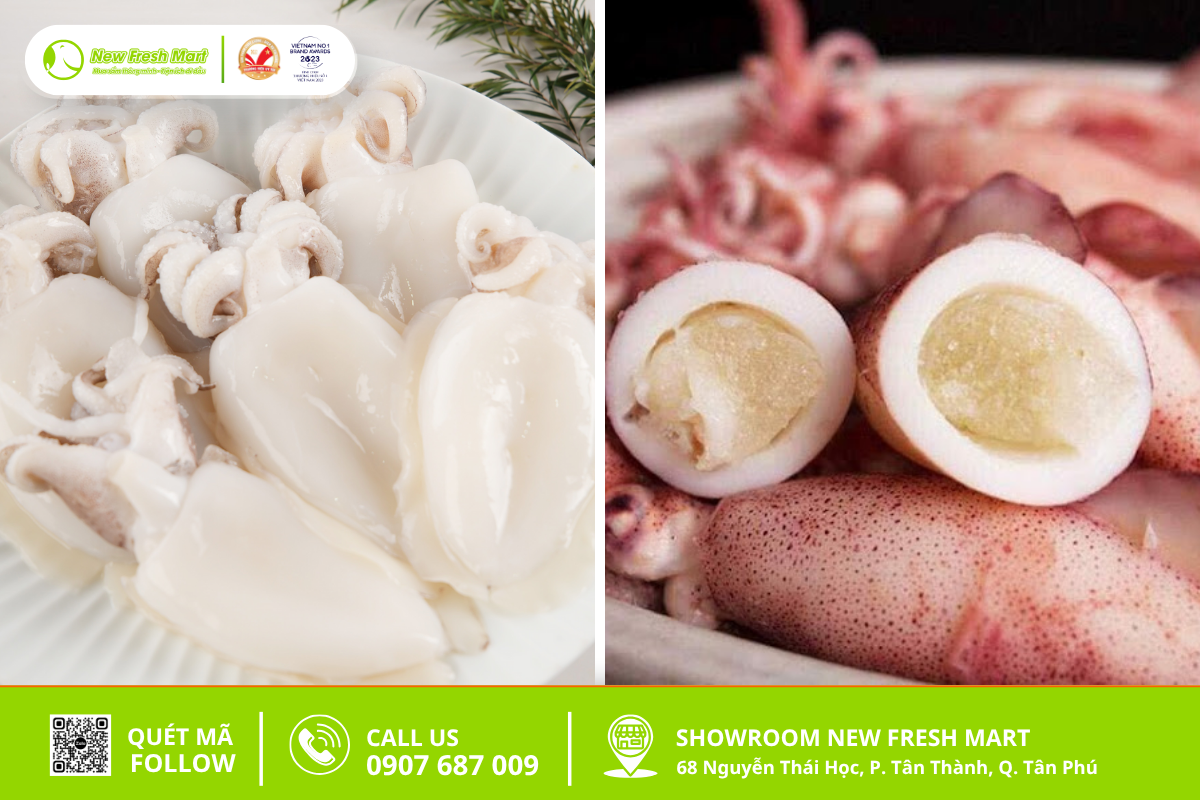 Mực nang và mực trứng con nào ngon hơn Mực nang và mực trứng con nào ngon hơn