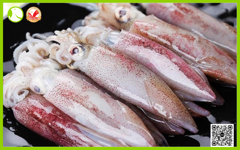 Mực ống Mực ống