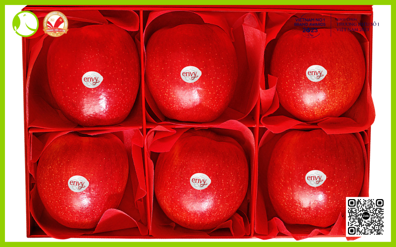 Hộp quà táo tết rồng vàng Envy Hộp quà táo tết rồng vàng Envy