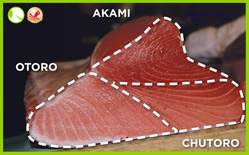 các phần của cá ngừ đại dương các phần của cá ngừ đại dương