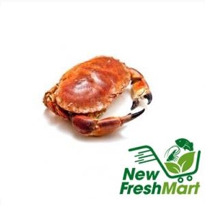 Cua Nâu Nauy Đông Lạnh