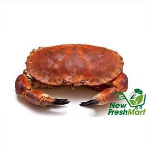 Cua Nâu Nauy Đông Lạnh