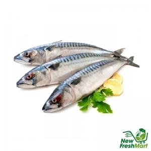 Cá Sa Ba Nhật - 1Kg