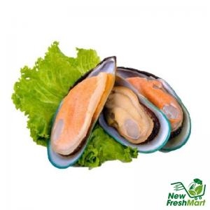 Vẹm Xanh Newzeland Nửa Mảnh