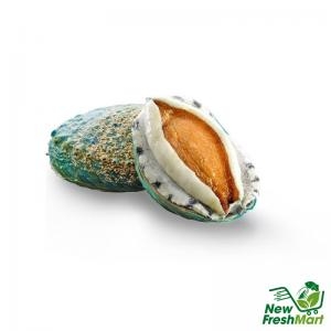 Bào Ngư Viền Xanh 8 - 10 Nguyên Vỏ - 2 Con