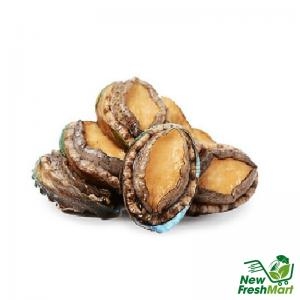 Bào Ngư Đông Lạnh Size 20-22 Bào Ngư Đông Lạnh Size 20-22