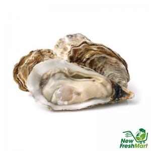 Hàu Nhật Nhập Khẩu 6-8 Hàu Nhật Nhập Khẩu 6-8