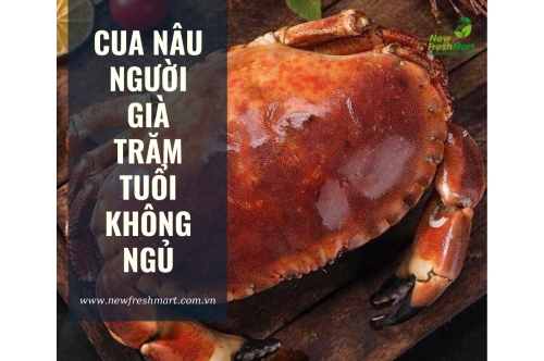 Cua Nâu Na-Uy Người Già Trăm Tuổi Không Ngủ Cua Nâu Na-Uy Người Già Trăm Tuổi Không Ngủ