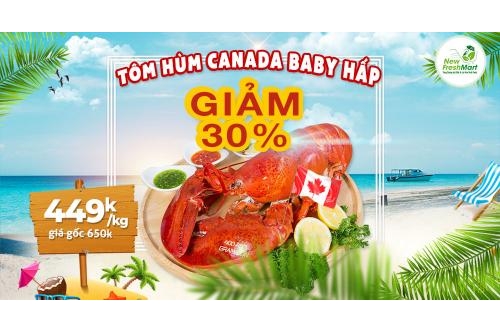 Sale Cuối Tháng - Tôm Hùm Baby Canada Hấp - Sale Up To 30%