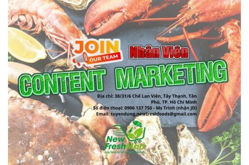 Nhân Viên Content Marketing Nhân Viên Content Marketing