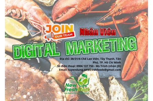 Nhân Viên Digital Marketing Nhân Viên Digital Marketing