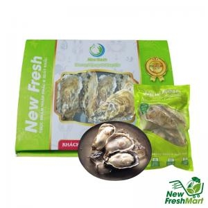 Hàu Nhật New Fresh 9-11