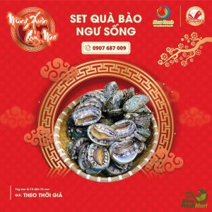 Set Quà Tết Đẳng Cấp C15 - Set Quà Bào Ngư