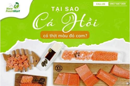 Tại Sao Cá Hồi Có Thịt Màu Đỏ Cam