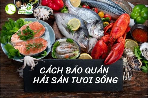 Cách Bảo Quản Hải Sản Tươi Sống Giữ Trọn Hương Vị