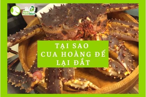 Tại Sao Cua Hoàng Đế Lại Đắt