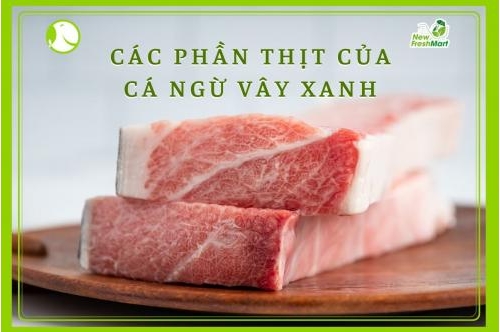 Các Phần Thịt Của Cá Ngừ Vây Xanh