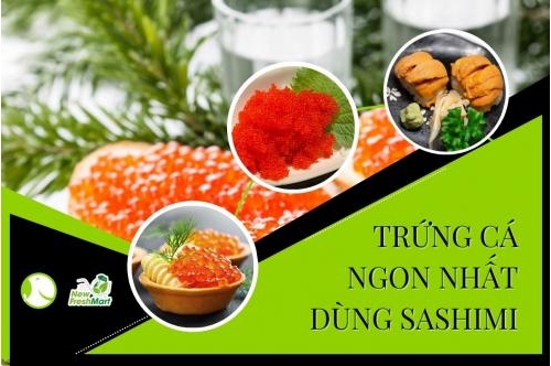 Các Loại Trứng Ngon Nhất Khi Dùng Sashimi