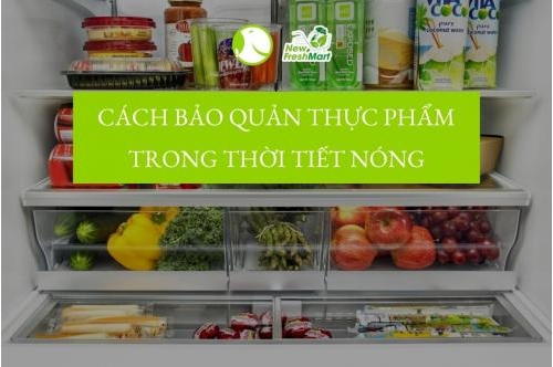Tips Bảo Quản Thực Phẩm Trong Thời Tiết Nóng