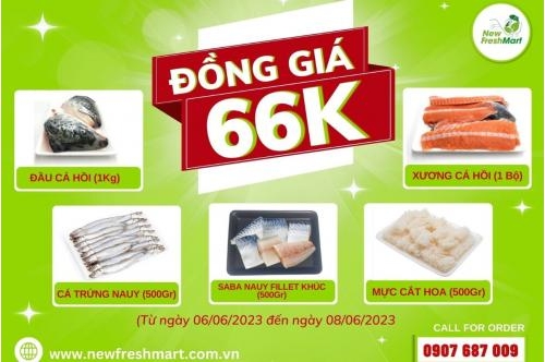 6/6 Sale Giữa Năm - Lốc Deal Sốc - Đồng Giá 66K