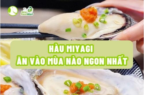 Hàu Miyagi Ăn Vào Mùa Nào Ngon Nhất