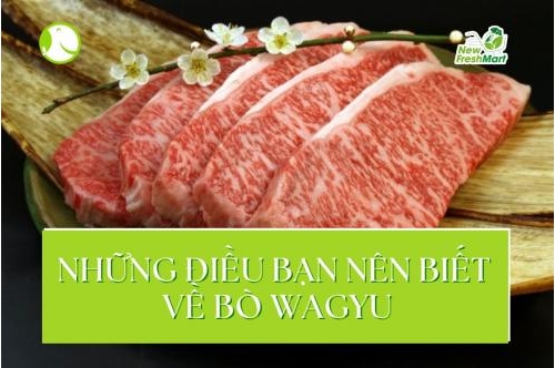 Những Điều Bạn Nên Biết Về Bò Wagyu