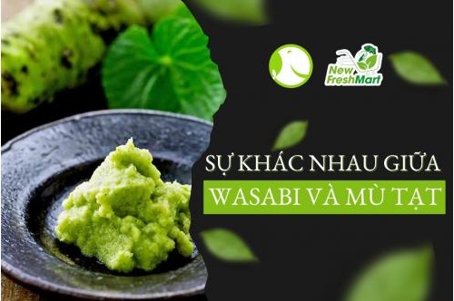 Sự Khác Nhau Giữa Wasabi Và Mù Tạt