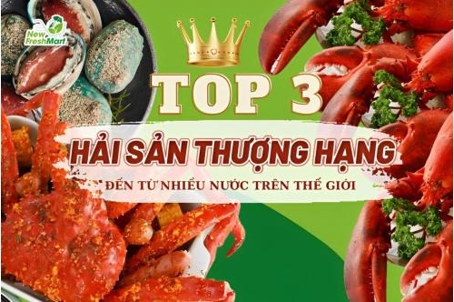 Top 3 Hải Sản Thượng Hạng Đến Từ Nhiều Nước Trên Thế Giới Top 3 Hải Sản Thượng Hạng Đến Từ Nhiều Nước Trên Thế Giới