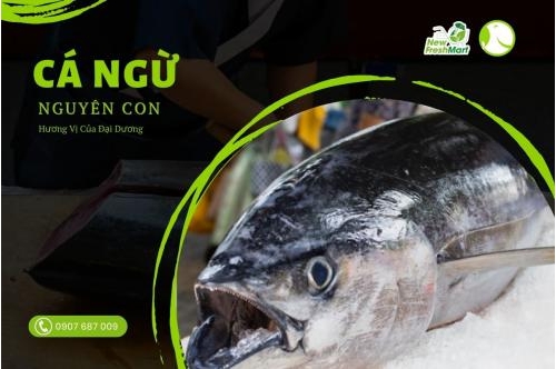 Cá Ngừ Về - Nhà Hàng Mê Cá Ngừ Về - Nhà Hàng Mê