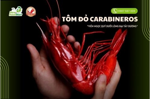 Sắc Đỏ Tự Nhiên - Vị Ngon Tinh Khiết Từ Tôm Đỏ Carabineros Sắc Đỏ Tự Nhiên - Vị Ngon Tinh Khiết Từ Tôm Đỏ Carabineros