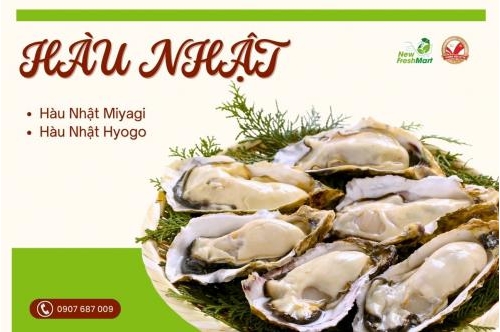New Fresh Food - Đơn Vị Phân Phối Hàu Nhật Uy Tín Tại Tp.hcm New Fresh Food - Đơn Vị Phân Phối Hàu Nhật Uy Tín Tại Tp.hcm