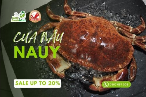 Cua Đủ Size - Sale Thật Đã Cua Đủ Size - Sale Thật Đã