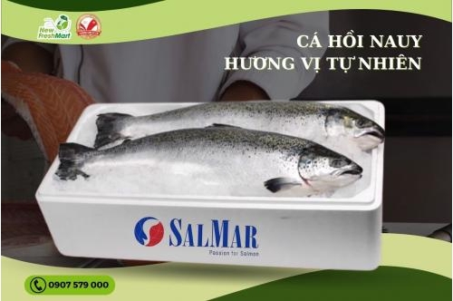 Cá Hồi Nauy - Hương Vị Tự Nhiên Cá Hồi Nauy - Hương Vị Tự Nhiên
