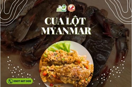 Cua Lột Myanmar - Ngon Đậm Đà, Vị Tự Nhiên Cua Lột Myanmar - Ngon Đậm Đà, Vị Tự Nhiên