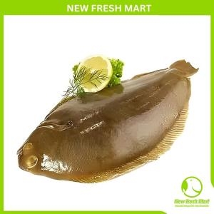 Cá Bơn Nhật Bản Cá Bơn Nhật Bản