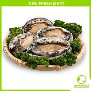 Bào Ngư Hàn Quốc Đông Lạnh Size 8-10 Bào Ngư Hàn Quốc Đông Lạnh Size 8-10