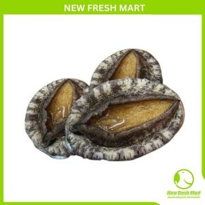 Bào Ngư Hàn Quốc Đông Lạnh Size 16-20 Bào Ngư Hàn Quốc Đông Lạnh Size 16-20