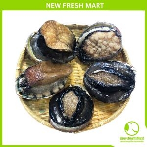 Bào Ngư Úc Viền Đen Đông Lạnh Bào Ngư Úc Viền Đen Đông Lạnh