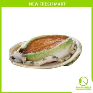 Bào Ngư Úc Viền Xanh (Nguyên Vỏ) Bào Ngư Úc Viền Xanh (Nguyên Vỏ)