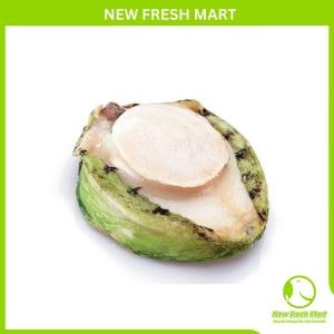 Thịt Bào Ngư Úc Viền Xanh Size 4 Thịt Bào Ngư Úc Viền Xanh Size 4