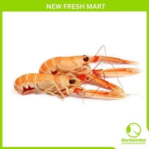 Tôm Càng Đỏ Nauy Tôm Càng Đỏ Nauy